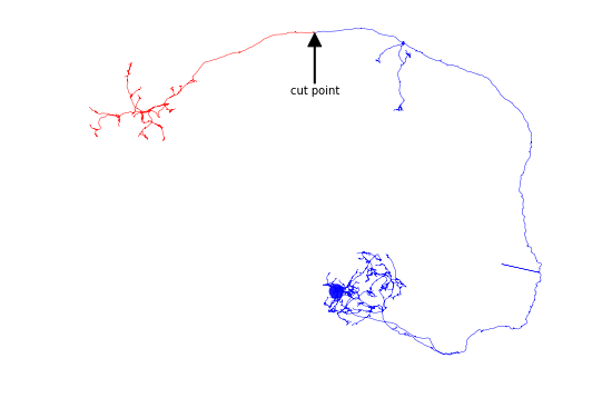 ../_images/morph_analysis_14_0.png