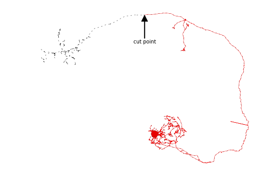 ../_images/morph_analysis_16_0.png