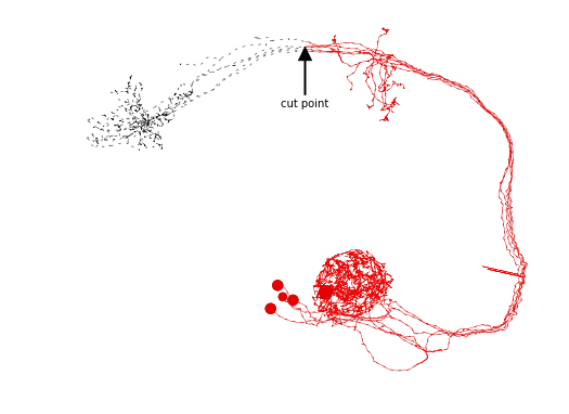 ../_images/morph_analysis_18_0.png