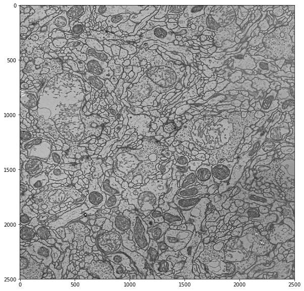 ../_images/tiles_13_0.png