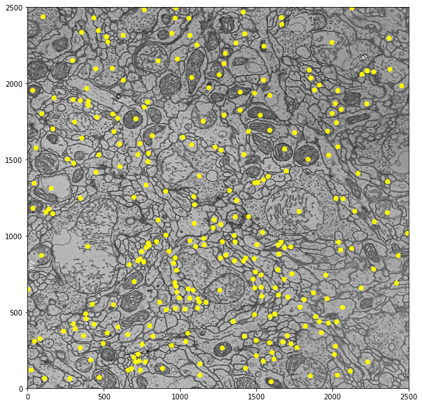 ../_images/tiles_15_0.png