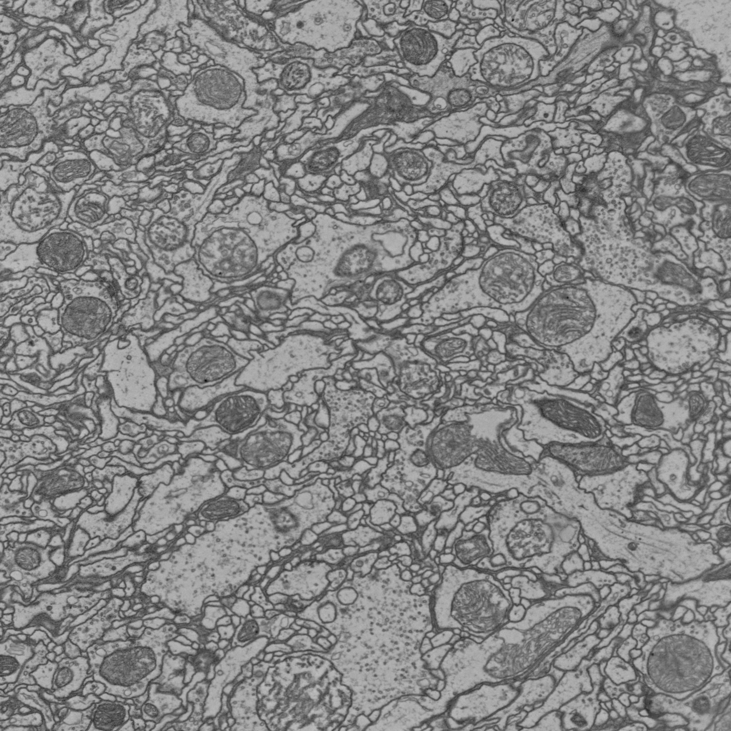 ../_images/tiles_23_0.jpg